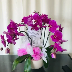 Karangan Bunga Meja Ucapan Selamat Solo 4