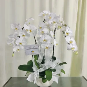 Karangan Bunga Meja Ucapan Selamat Solo 8